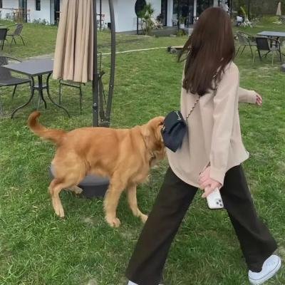 犯罪家谱